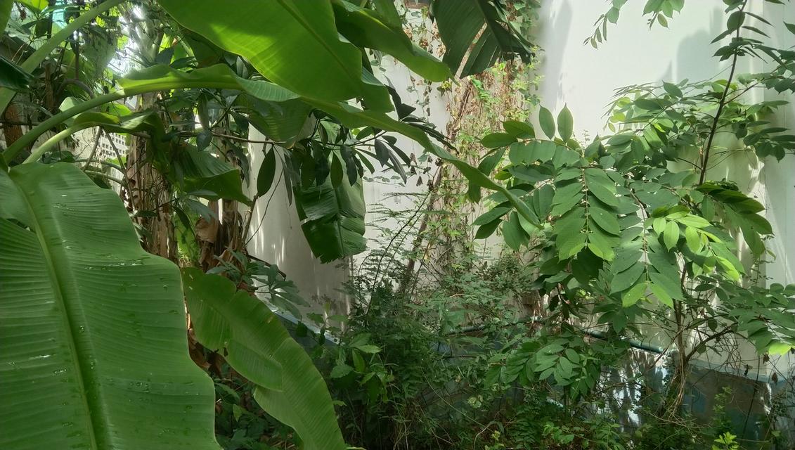 บ้านเดี่ยว 62ตร.วาหมู่บ้านไม้งาม2ภนนแสนสุขตำบลแสนสุขอำเภอเมืองจังหวีเชลบุาี 8