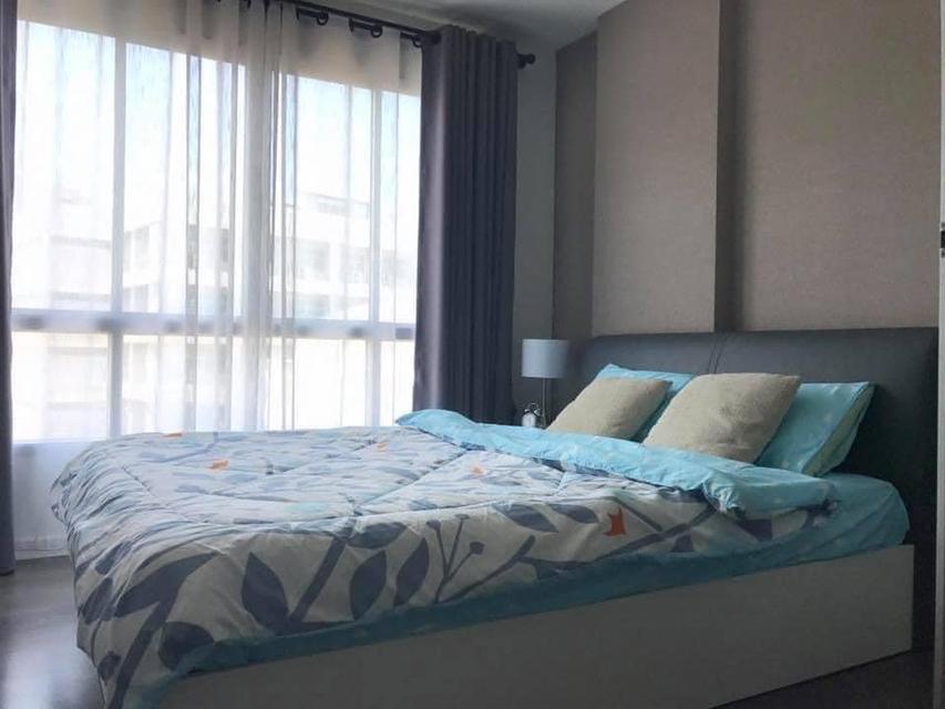 Dcondo Campus Resort Bangsaen ห้องสำหรับเช่า 2