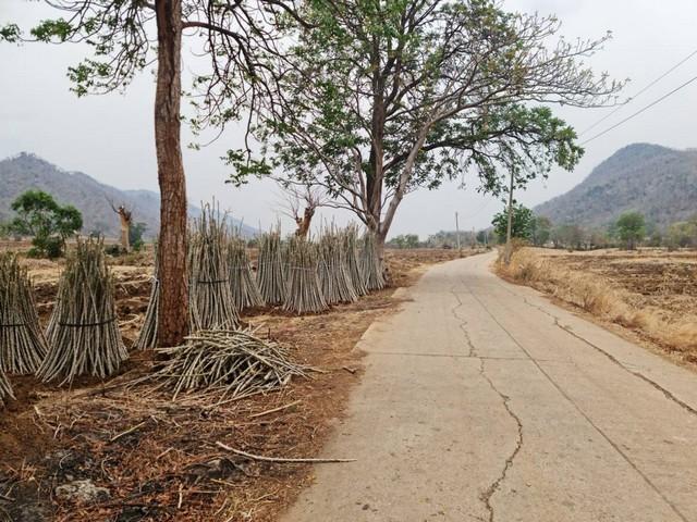 สู่ยุคหาทรัพย์ดีเอื้อเศรฐกิจ ที่ดินติดภูเขา ต.พระนอน อ.เมือง จ.นครสวรรค์ วิวสวยมากๆๆ 5ไร่เศษ โทร 096-882-1857 1