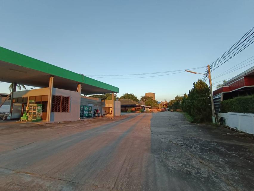 บ้านและที่ดินวิวหลักร้าน 20