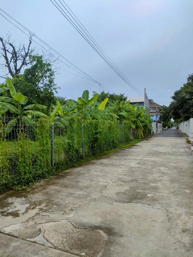ขายที่ดินเปล่าถมแล้วในถนนลาดพร้าวซอย 48 กรุงเทพมหานคร 19