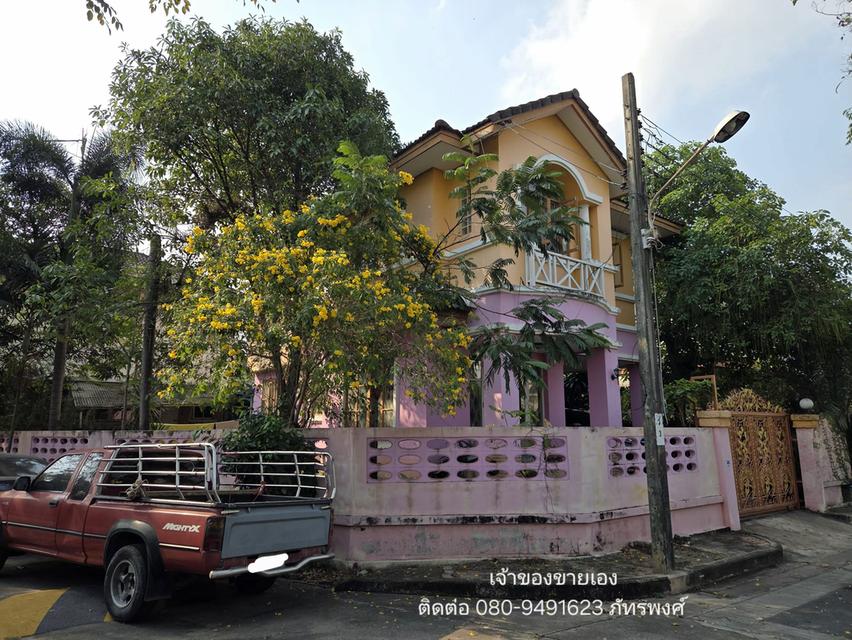 🔥 ขายต่ำกว่าราคาประเมิน! แปลงมุม "ทรงถุงเงิน" 62.2 ตร.ว. (ฟรีโอน) เจ้าของขายเอง - หมู่บ้านชัยพฤกษ์ บางขุนเทียน 2