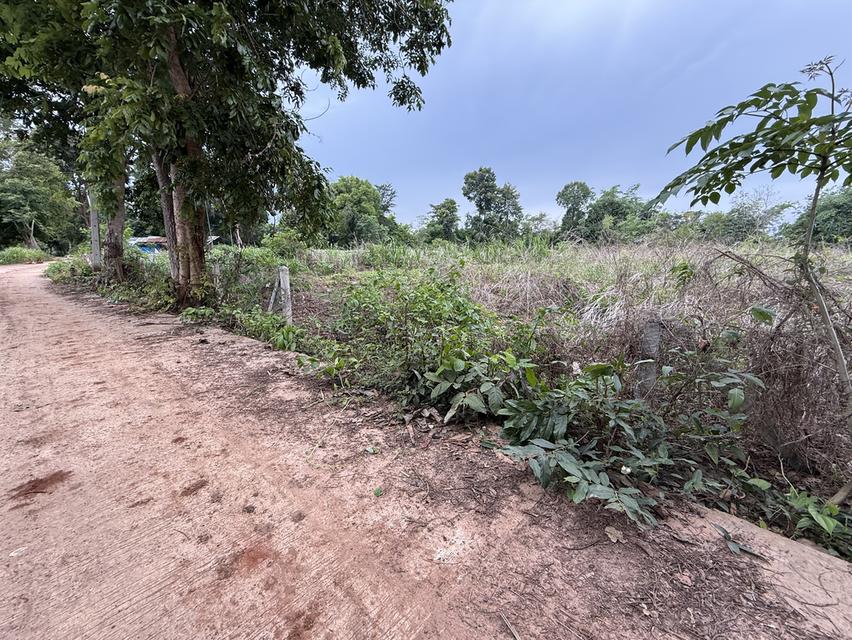 ขายที่ดิน โฉนด พร้อมโอนทำเลดี 3