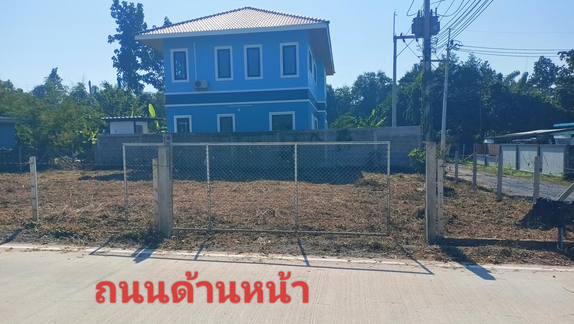 ขาย📍 ที่ดิน 70 ตารางวา 2