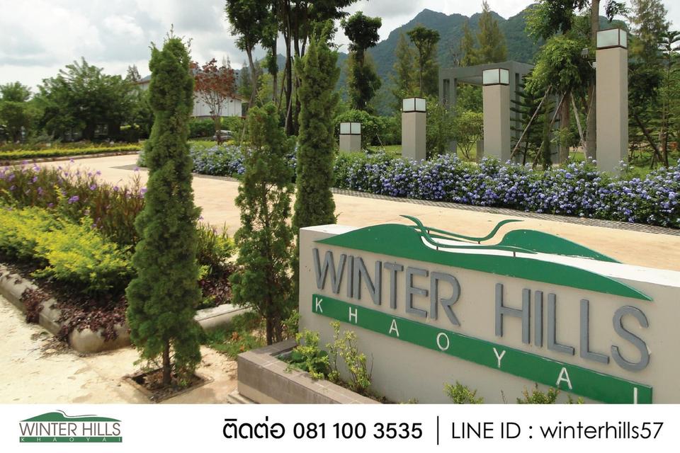 ⛪ สนใจซื้อที่ดินเขาใหญ่ทำเลทอง มั่นคง ราคาดีเลือก Winter Hills เขาใหญ่ 📞 โทร : 081 100 3535 6
