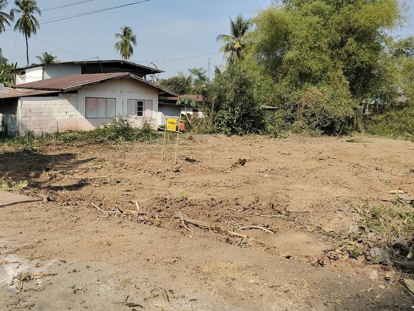 ขายที่ดินเปล่า ทำเลดี หน้าหลังติดคลองน้ำ อำเภอเมืองพิจิตร จังหวัดพิจิตร 6