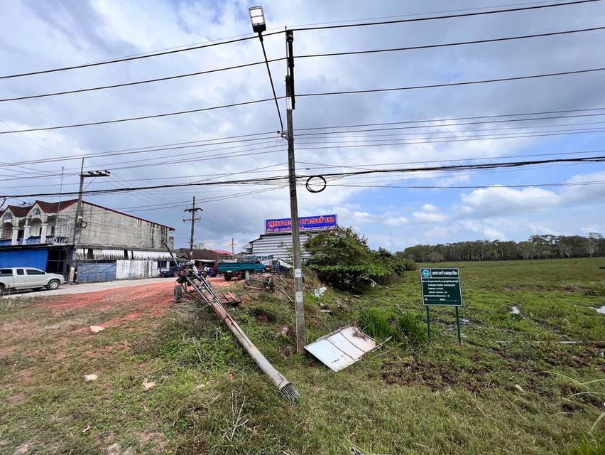 ทึ่ดินว่างเปล่าติดถนนใหญ่ 6