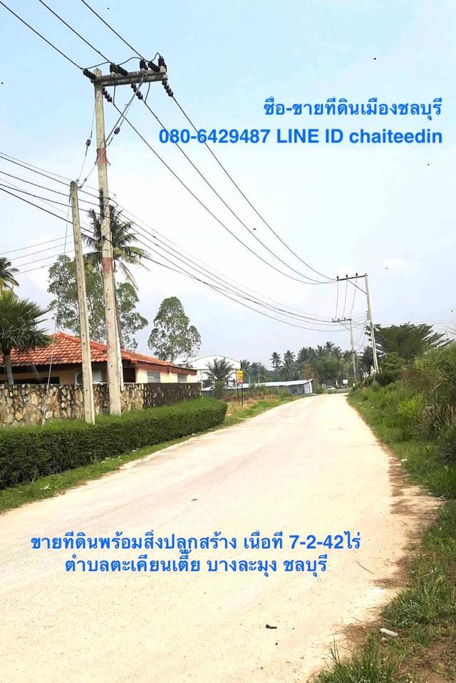 ขายที่ดินพร้อมสิ่งปลูกสร้างเนื้อที่ 7-2-42ไร่ ตะเคียนเตี้ย บางละมุง ชลบุรี ทำเลดี เหมาะสร้างโกดัง-โรงงาน ใกล้ถนนตัดใหม่ 6