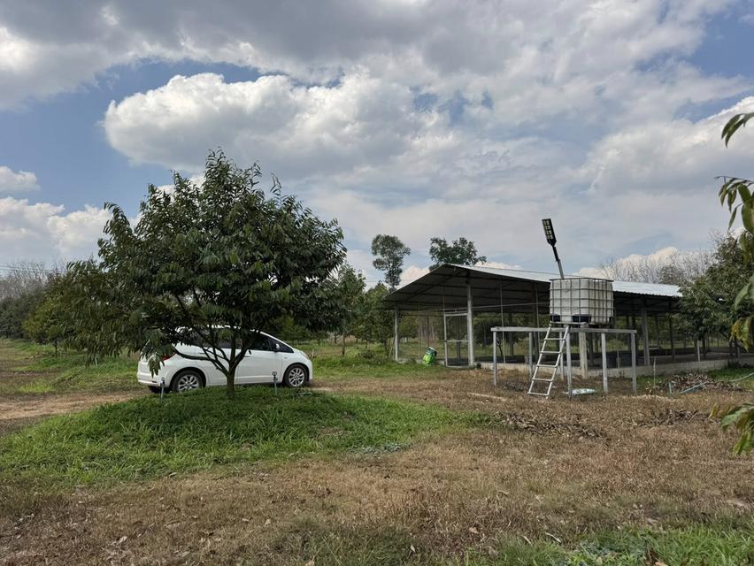 สวนทุเรียนจังหวัดระยอง เนื้อที่ 8 ไร่ 3 งาน 9 ตรว ราคาไร่ละ1,000,000 บาท ต.ชำฆ้อ อ.เขาชะเมา จ.ระยอง เขตติดต่อ อ.แกลง จังหวัดระยอง พื้นที่สวยทำเลดีมาก 4