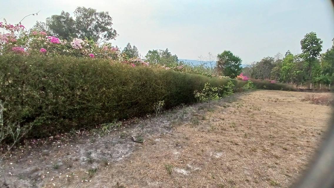 ที่ดิน จังหวัดเชียงใหม่ อำเภอแม่ออน 1