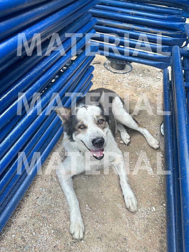 นั่งร้านมือ 1 หมดแล้วหมดเลย รูปที่ 3