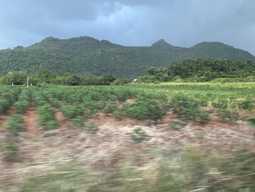 ที่ดินติดถนนเขาวง ปากช่อง  2ไร่  โอบล้อมด้วยวิวเขา ติดถนนเส้นเขาวง หน้ากว้าง สวย โฉนด 7