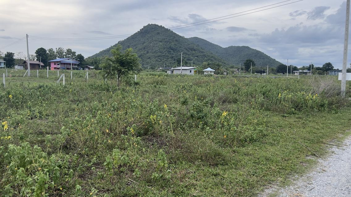 ที่ดิน120ตร.วา วิวสวยหลังเขา เหมากับการทำรีสอร์ต+บ้านพักผ่อนตากอากาศ  11