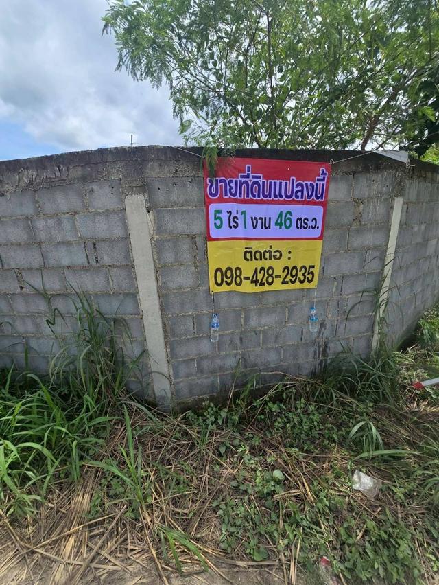 ขายที่ดิน บ้านบึง ชลบุรี 5 ไร่ 1 งาน 46 ตร.ว. ทำเลดี เหมาะลงทุน 9