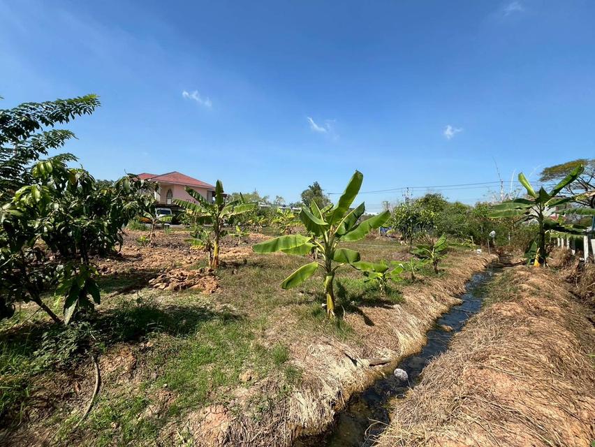 ขายที่ดินเปล่า ซอยบงกช40 คลองสอง คลองหลวง 6