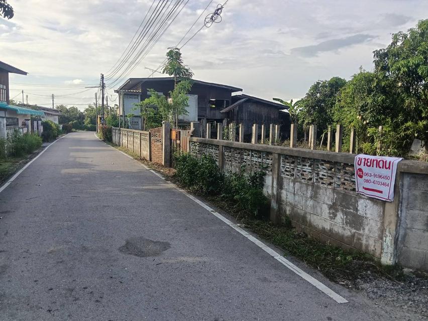ที่ดินพร้อมสิ่งก่อสร้าง 1