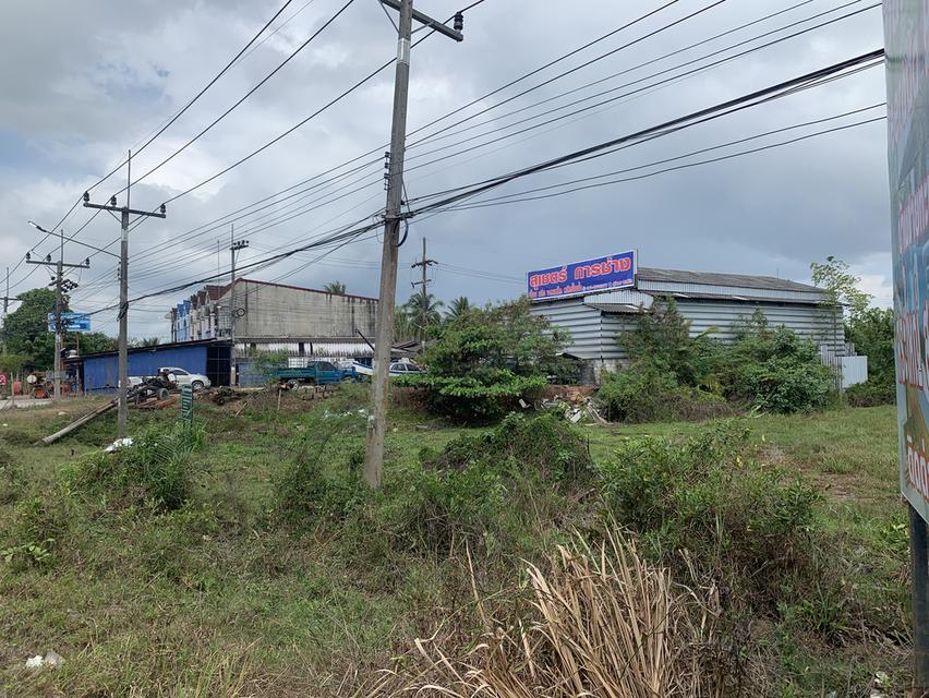 ทึ่ดินว่างเปล่าติดถนนใหญ่ 1
