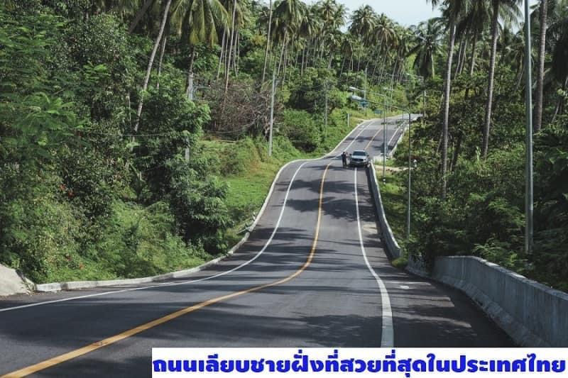 ขาย…ที่ดิน 18 ไร่ใกล้หาดเขาพรายดำ อ่าวขนอม จ.นครศรีธรรมราช 2