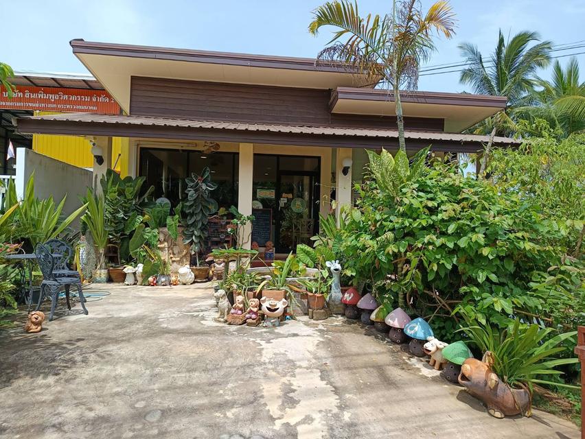 ขายที่ดินพร้อมสิ่งปลูกสร้าง 1