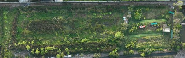 ทีดินปทุมธานีสวย5ไร่ 3