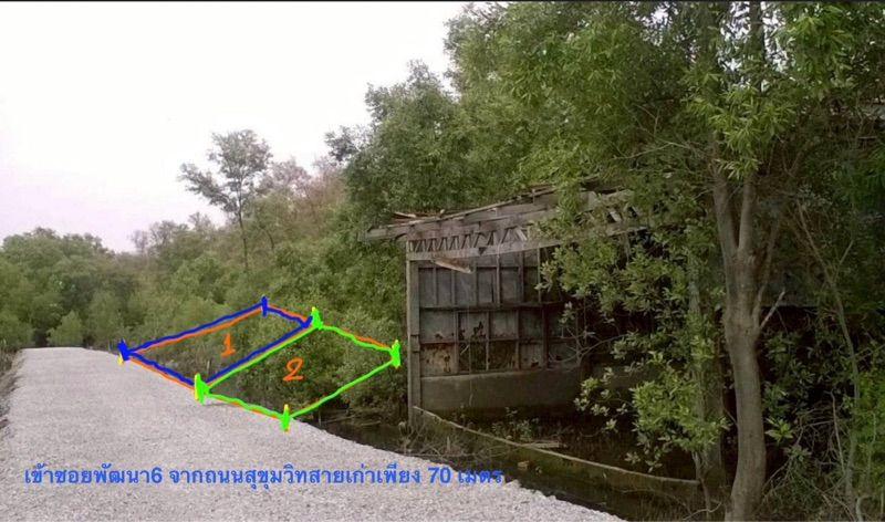 ขายที่ดินเปล่า นส4 มี2แปลง 68,69 ตรว. ล้านต้นๆ ที่ดินห่างจากถนนสุขุมวิทสายเก่าเพียง70 เมตร 4