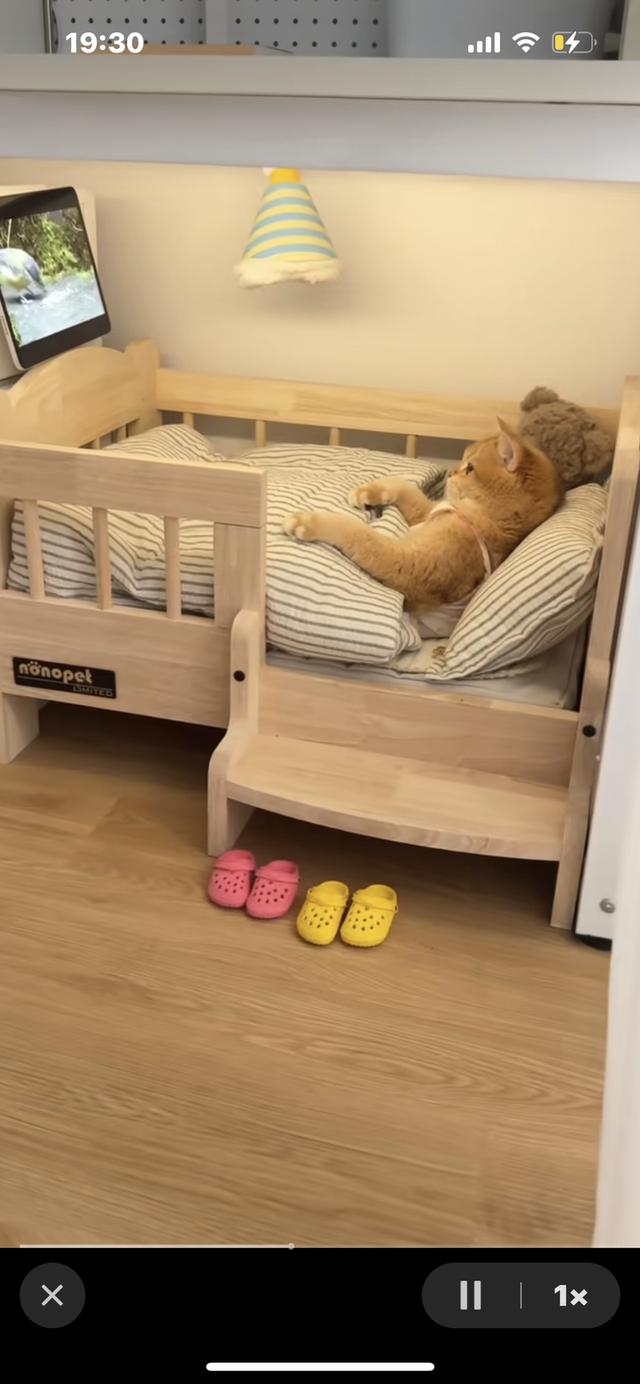 เข่า 1