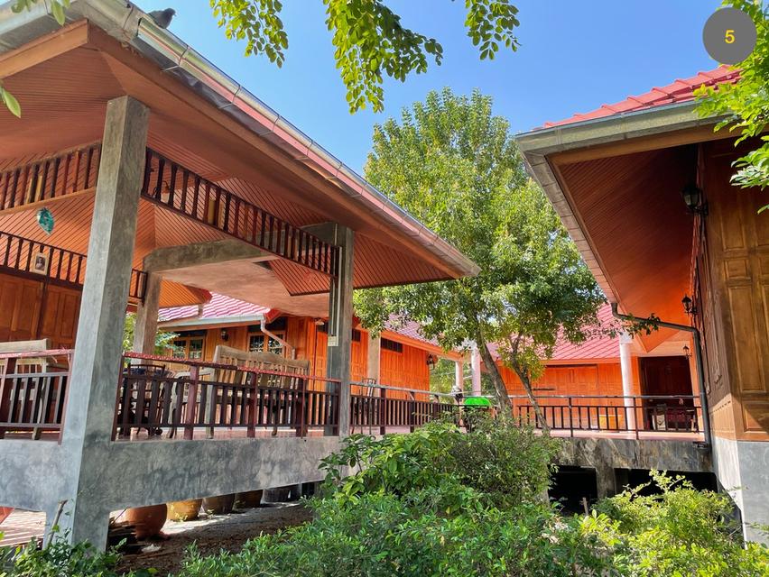 ที่ดินพร้อมสิ่งปลูกสร้าง 4