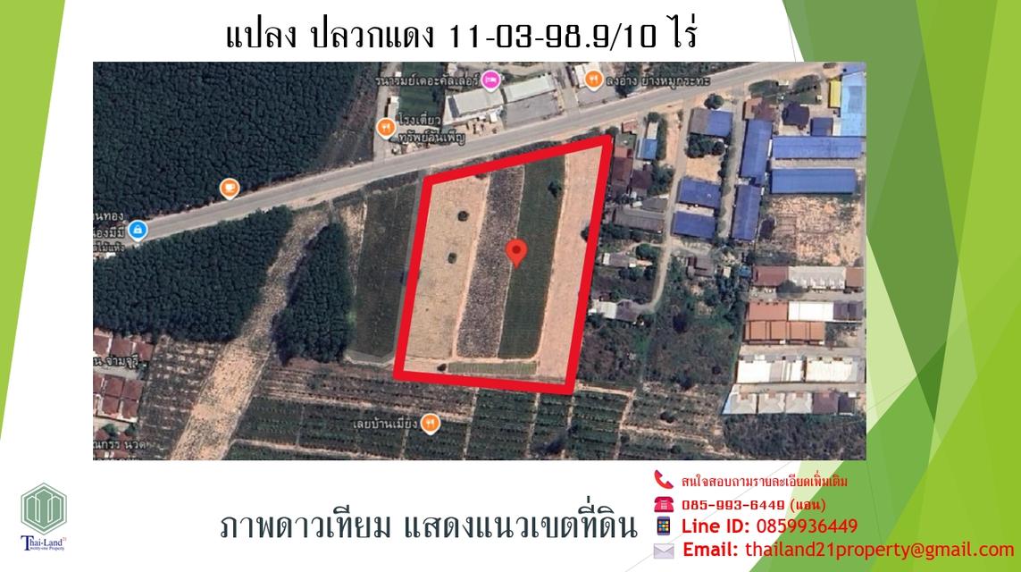 ขายที่ดินสีเหลือง อำเภอปลวกแดง จังหวัดระยอง  เนื้อที่ 11 ไร่ 3 งาน 98.9 ตารางวา 2