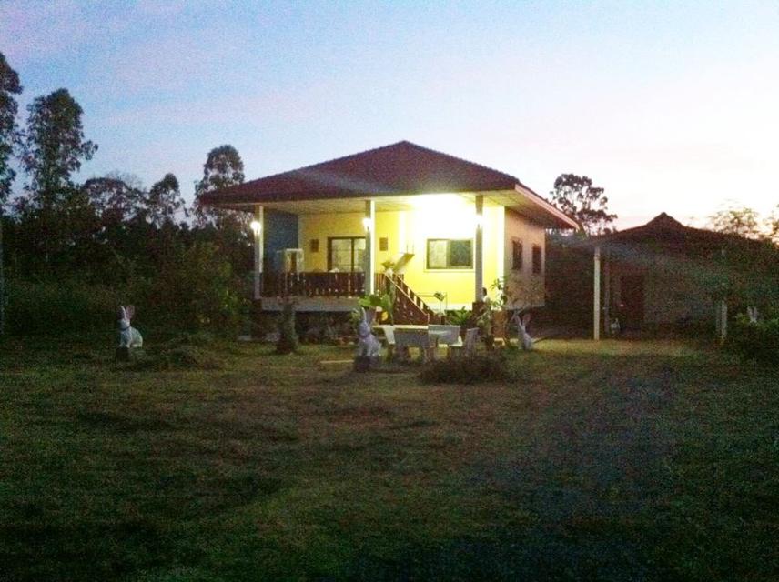ขายที่ดินถมแล้วพร้อมบ้านและร้านอาหาร ริมถนนใหญ่ 4 เลน ใกล้ทะเลและสนามบิน 6