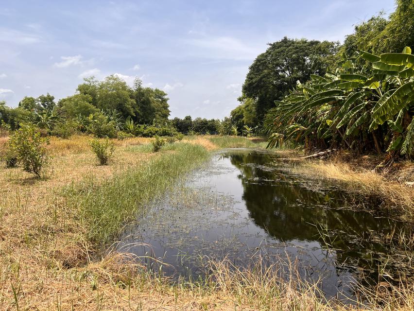 ขายที่ดิน หนองจอก 2 ไร่ 2