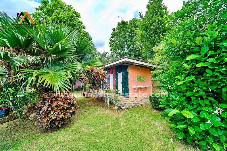 รีสอร์ทสวยบนเขาค้อ จ.เพชรบูรณ์ เนื้อที่ 4 ไร่ 2 งาน ในขุนเขากลางทะเลหมอก ขายพร้อมอุปกรณ์รีสอร์ท ดำเนินกิจการต่อได้ทันที 12