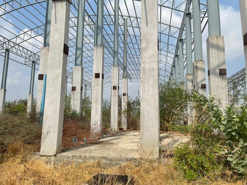 ขายที่ดินพร้อมสิ่งปลูกสร้าง คลอง 14 ลำลูกกา ปทุมธานี | เหมาะทำคลังสินค้า โกดัง 3