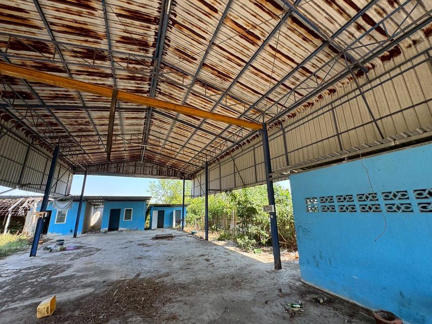 🔥 ขายด่วน โกดัง/โรงงาน ทำเลทอง ต.สวนป่าน อ.เมืองนครปฐม ใกล้มอเตอร์เวย์ M81 3