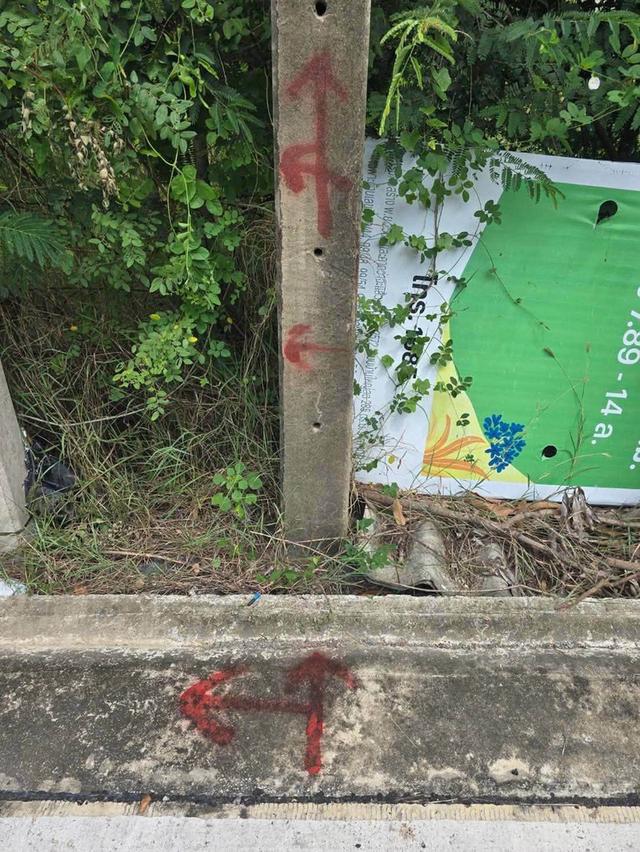 ขายด่วนที่ดินใกล้เซ็นทรัลศาลายา 91 ตรว ติดถนนคอนกรีตสาธารณะ ถมแล้ว ซ.หอถังประปา รพช. อ.พุทธมณฑล จ.นครปฐม 11