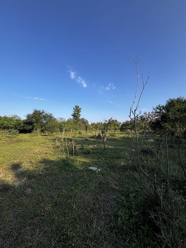 ที่ดินติดถนน ขายด่วน! 7 ไร่ 57 ตรว. อ.บ้านโป่ง ราชบุรี | เจ้าของขายเอง  8