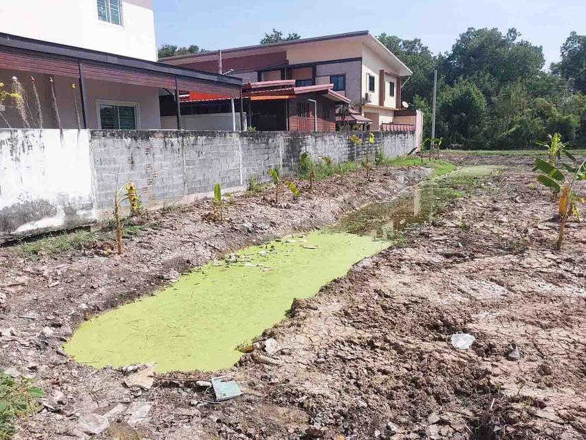 ที่ดิน 1 ไร่ 2 งาน 24 ตารางวา บางกรวย ไทรน้อย 43 ใกล้วัดบางกร่าง 3