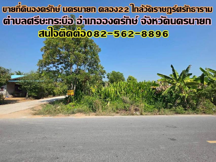 ขายที่ดินองครักษ์ นครนายก คลอง22 ใกล้วัดราษฎร์ศรัทธาราม 1