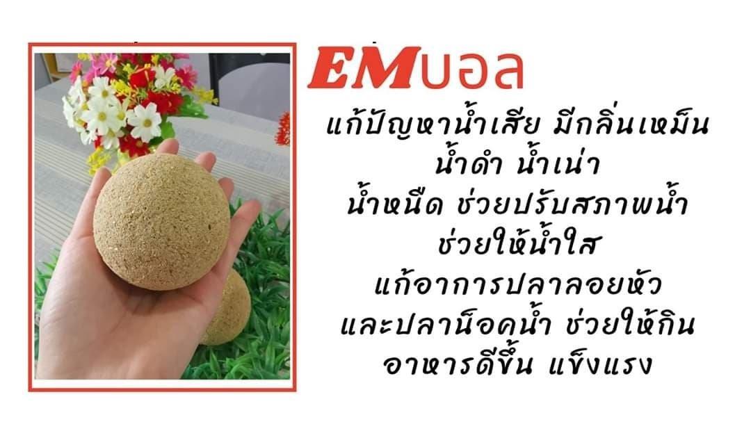 EM Ball อีเอ็มบอล 2