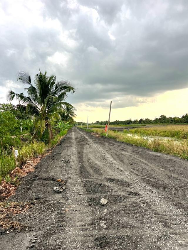 ที่ดินผ่อนสบาย ทำบ้านสวนหรือเกษตรก็เหมาะ ทำเลคลอง 11 อำเภอหนองเสือ จังหวัดปทุมธานี 5
