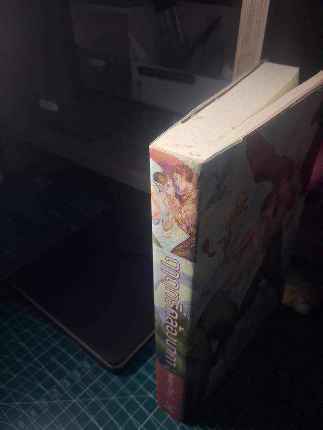 หนังสือนิยายวาย เรื่อง ฤาฤทธิ์คล้องนาคา (มือสองมีรอยชำรุด4จุด) รูปย่อยที่ 4