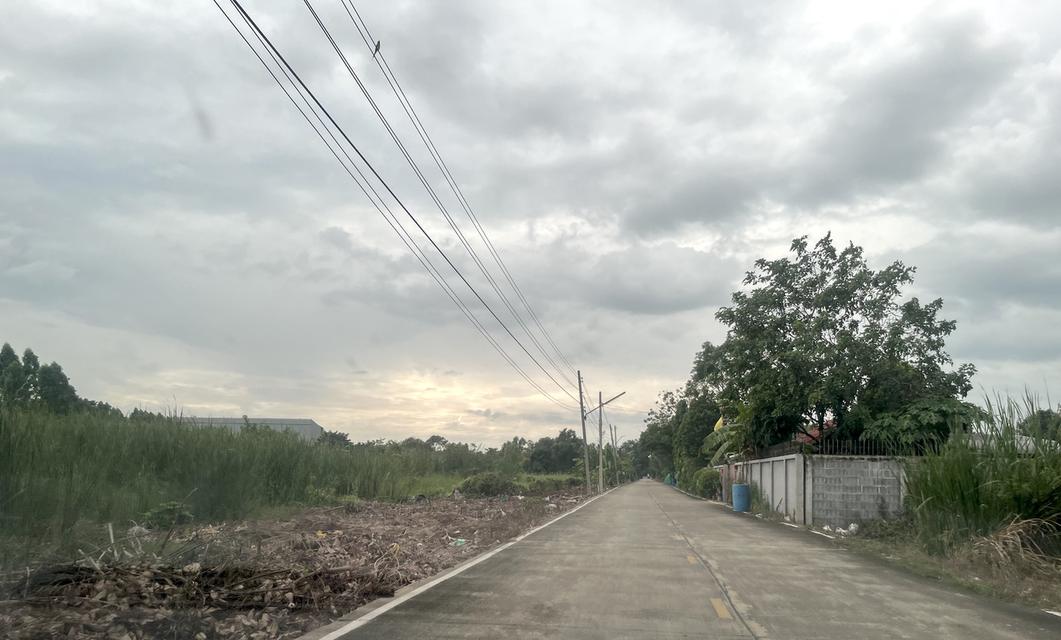 ขายที่ดิน 1 ไร่ คลอง 10 หนองเสือ ปทุมธานี 098 7755 808 11