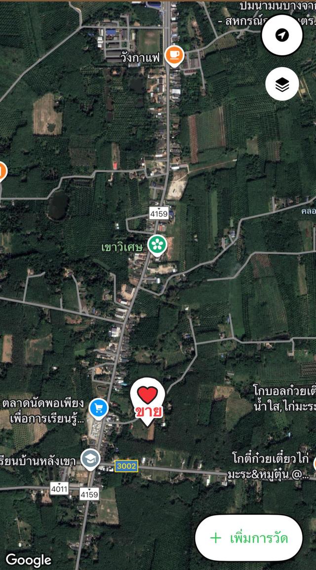 ไร่ยาง นส.4 จ. ครุฑแดง 4 ไร่กว่า พร้อมทำรายได้ทันที 8