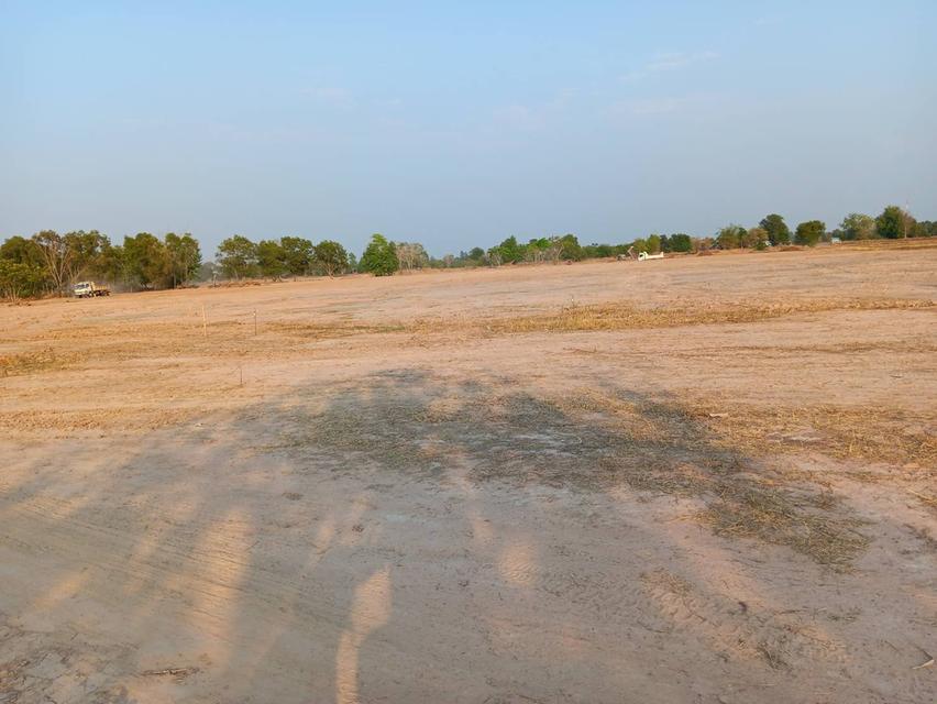 ที่ดิน 30 ไร่ ติดถนนเมืองพล หนองสองห้อง ถนนเจนจบทิศ ทางขึ้นลงทางด่วน มอเตอร์เวย์ M6 กรุงเทพ หนองคาย ที่ดินถมแล้ว 5 ปี พร้อมสร้างหมู่บ้าน 1