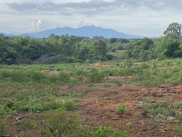 ขาย!!! ที่ดินสวย ทำเลศักยภาพ ใจกลางเมือง..หลังค่ายตากสิน..เนื้อที่ 14 ไร่เศษ โทร 092-5635533 รูปที่ 4