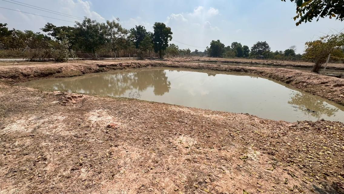 ที่ดินพร้อมบ้านพัก ขนาด 5 ไร่ 6