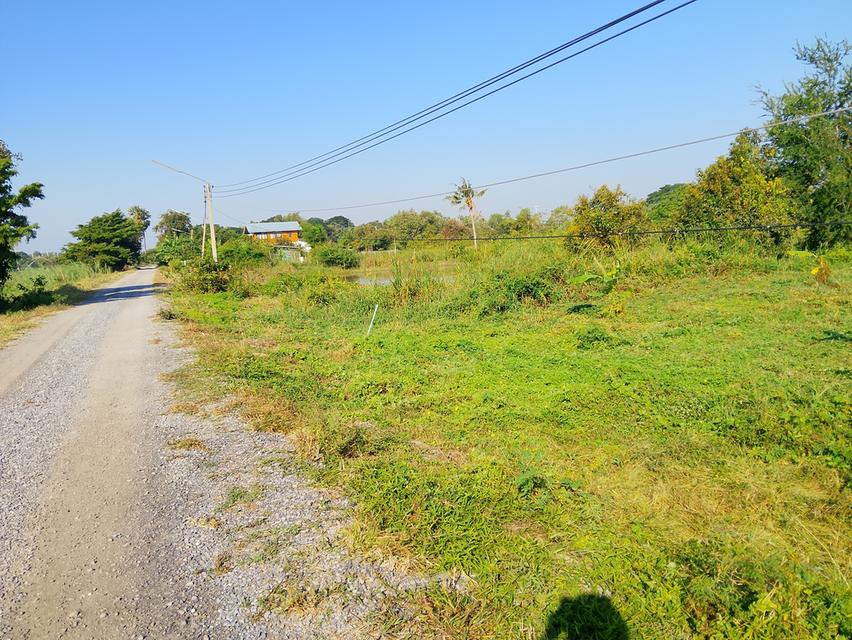 ที่ดินว่างเปล่า 5 ไร่ 1,200,0000 บาท 5