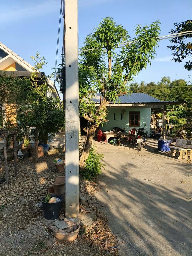 ที่ดินและบ้านพร้อมอยู่ 5