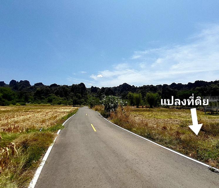 ที่ดินในอ้อมกอดขุนเขาใจกลางบ้านมุง(เนินมะปราง)จุดเช็คอินยอดนิยมของพิษณุโลก 4