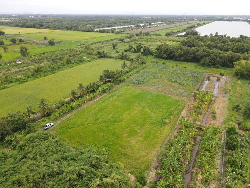 ขายที่ดินเหมาะสำหรับทำบ้าน ทำสวนและการเกษตร คลอง 11 ตำบล นพรัตน์ อำเภอ หนองเสือ ปทุมธานี 10