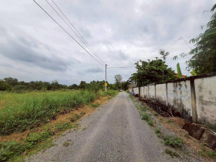 Vายถูกที่ดินคลองหก 520 ตารางวา ติดถนนสาธารณะซอย คลองหก ตต.31/1 อ.คลองหลวง จ.ปทุมธานี 7